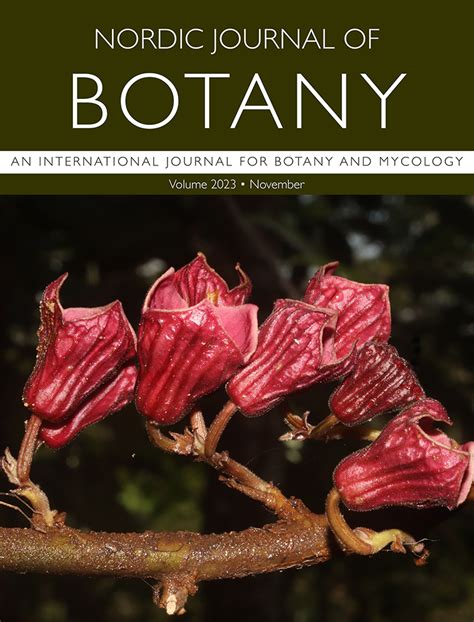 sibujing in english|Taxonomic evidences supporting the establishment of ‘sibujing', a.
